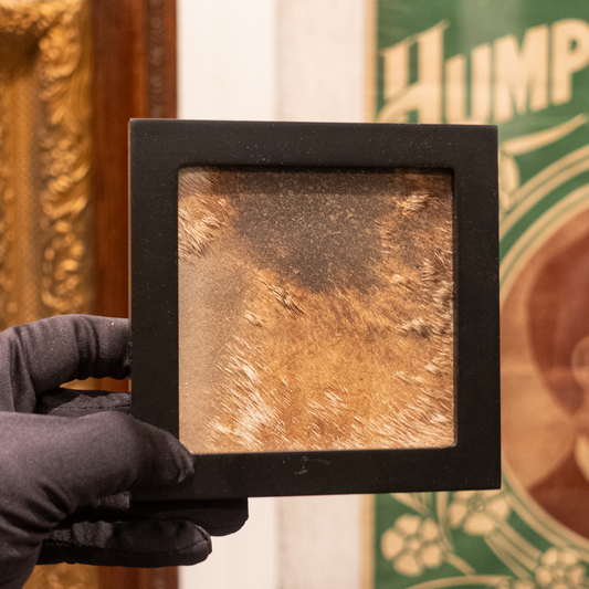 Framed Giraffe Hide