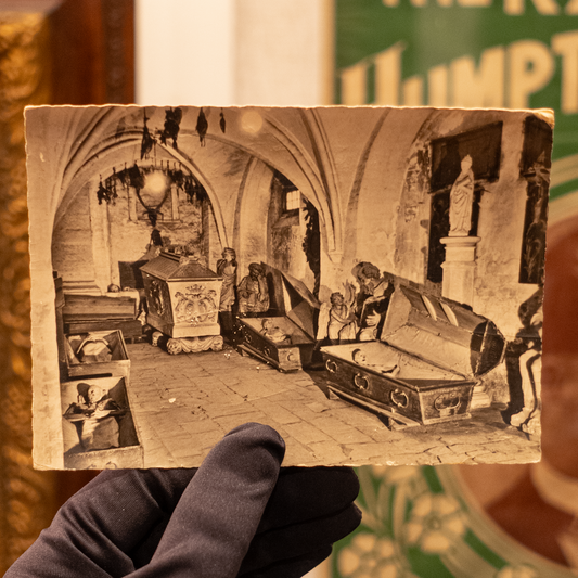 Vintage Mummy Photo Postcard