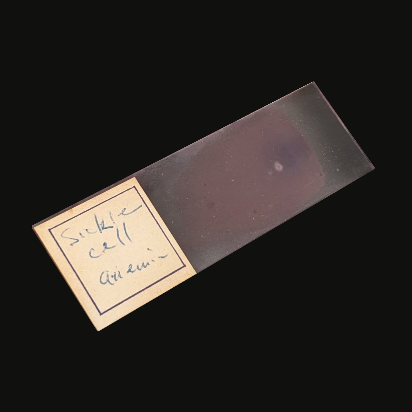 Antique Medical Sample Slides