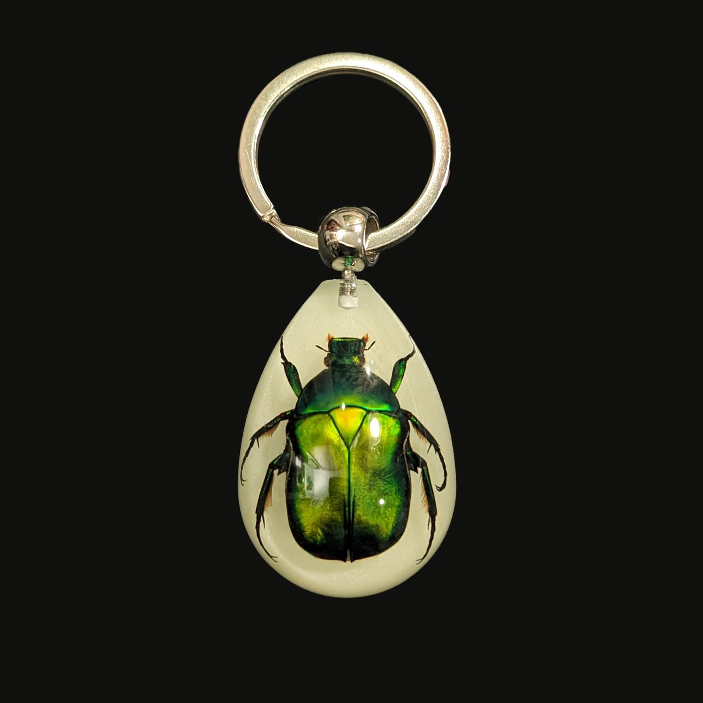 Glowing Beetle Keychain