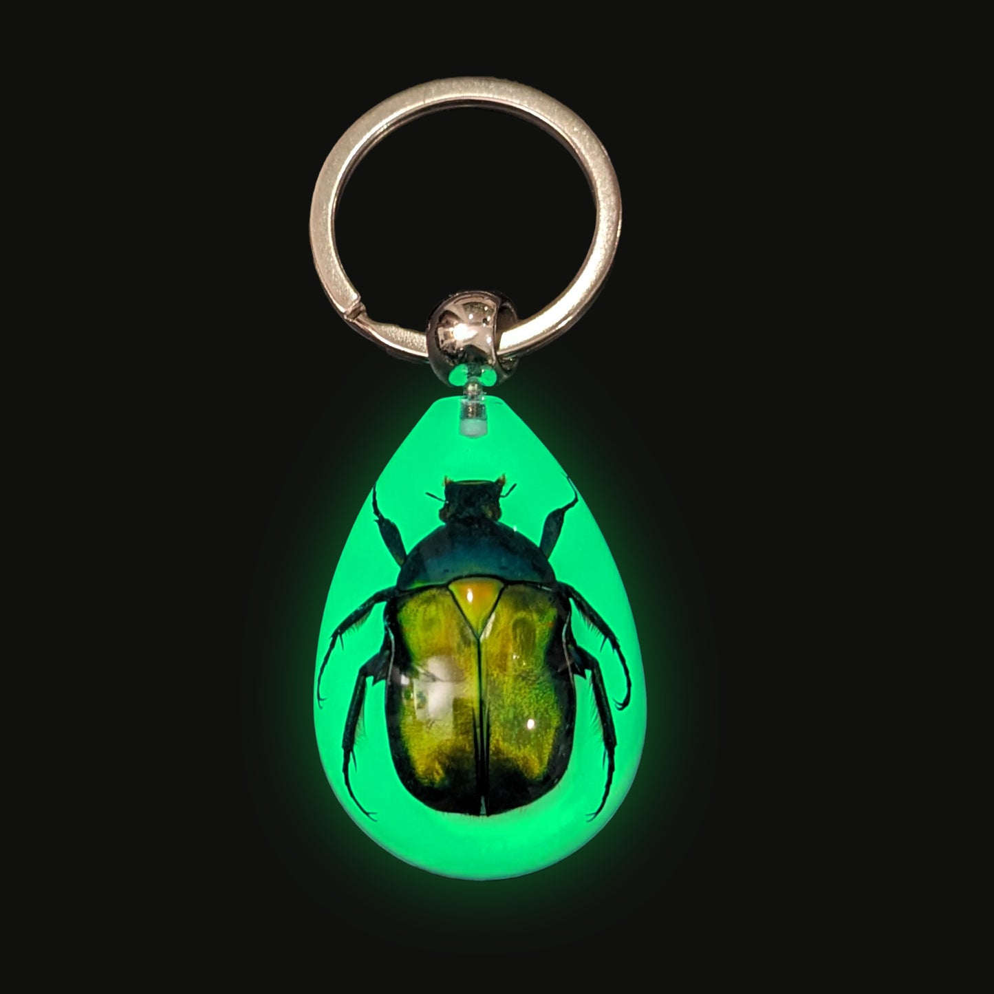 Glowing Beetle Keychain