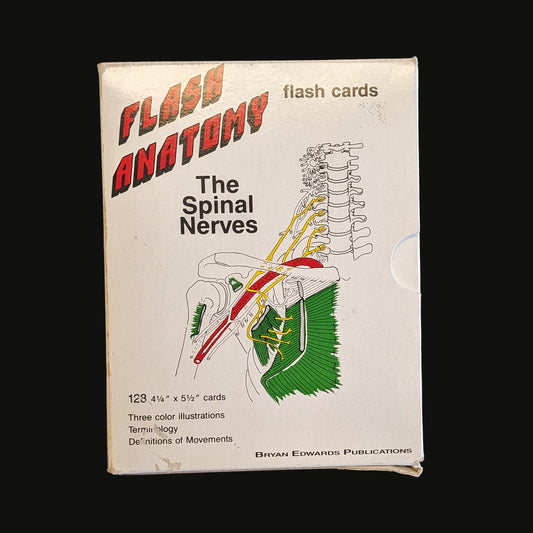 Vintage Anatomy Flash Cards